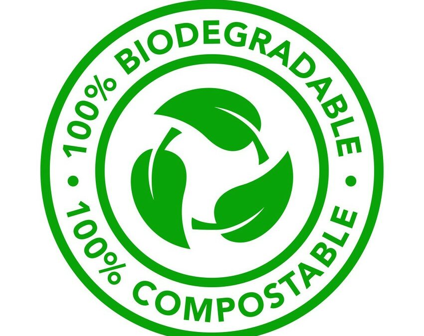 Ir hacia lo ecológico: Pulseras sin plástico – Una elección sostenible