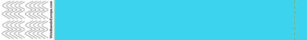 Tyvek liso azul cielo