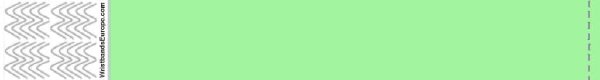 Tyvek liso Verde Menta